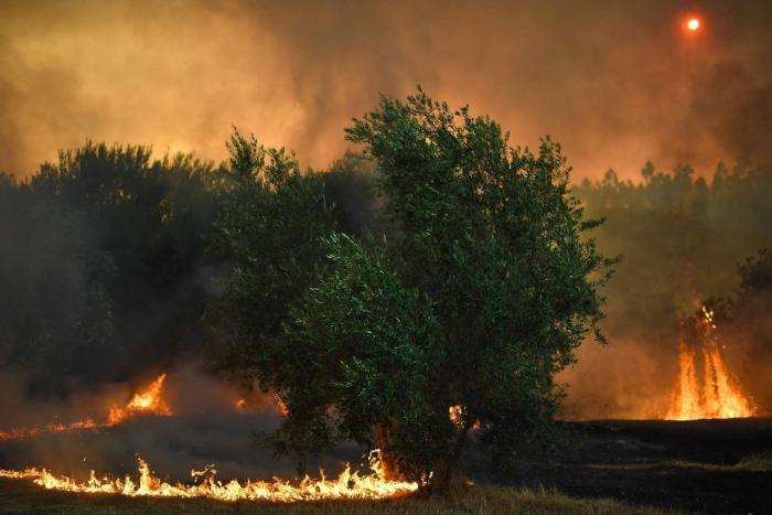El gobierno de Portugal supera una moción de censura por su gestión de los incendios