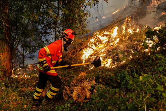 El gobierno de Portugal supera una moción de censura por su gestión de los incendios