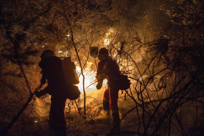 Unas 35.500 hectáreas han ardido en Galicia en la ola de incendios