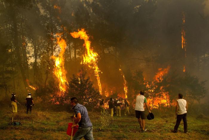 Unas 35.500 hectáreas han ardido en Galicia en la ola de incendios