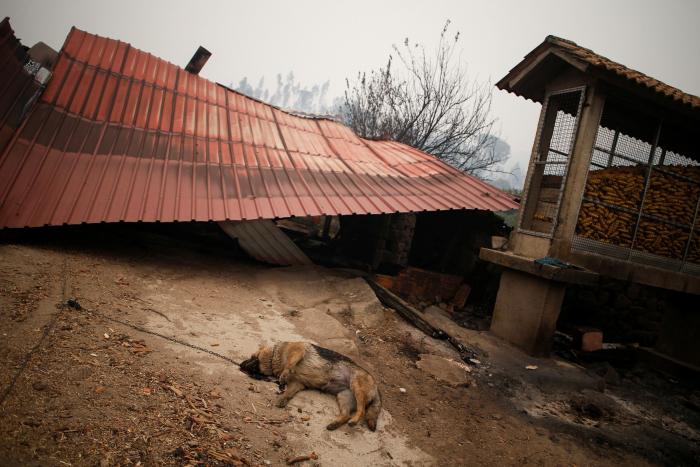 Dimite la ministra de Interior de Portugal por la gestión de los incendios