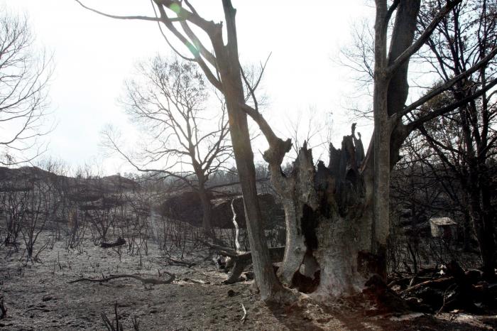 Dimite la ministra de Interior de Portugal por la gestión de los incendios
