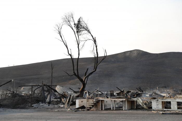 Suben a 31 los muertos por los incendios del norte de California