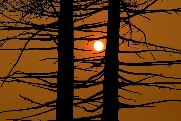 Suben a 31 los muertos por los incendios del norte de California