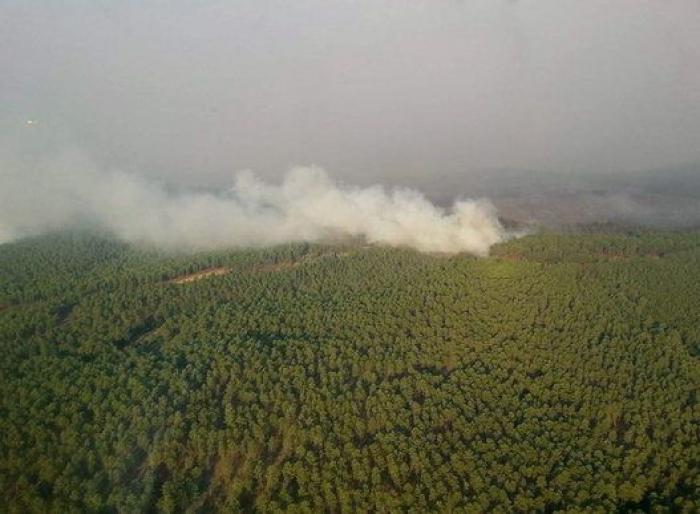 El incendio de la Sierra de Gata ha arrasado más de 5.000 hectáreas