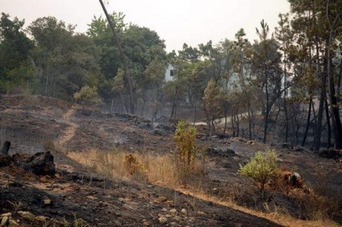 El incendio de la Sierra de Gata ha arrasado más de 5.000 hectáreas