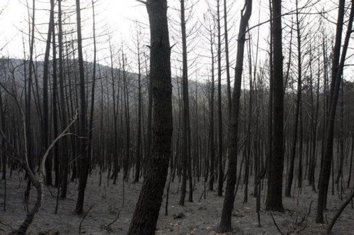 El incendio de Gata, estabilizado al cuarto día