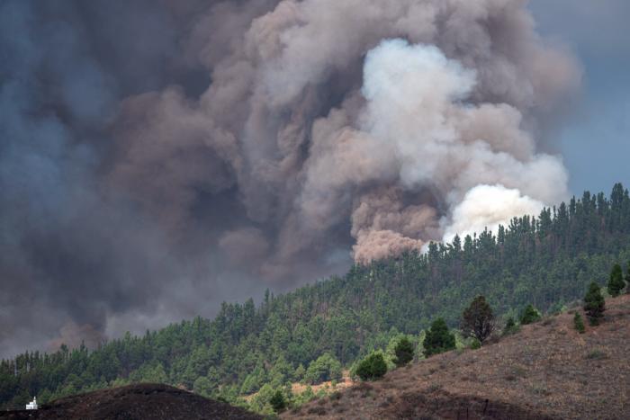 Aparece este experto del CSIC en la televisión canaria y todos piensan lo mismo: ojo a su voz