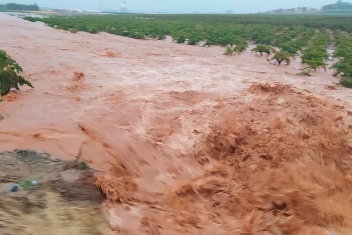 Calles y viviendas inundadas y otras impresionantes imágenes que dejan las lluvias de Huelva, Baleares y Badajoz