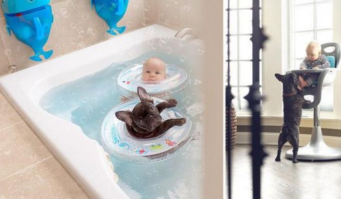 Un bebé y un bulldog francés, amigos inseparables (FOTOS)