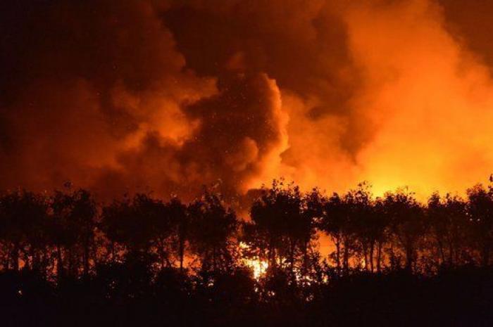 China abre una investigación sobre la tragedia en Tianjin pero aumenta la censura