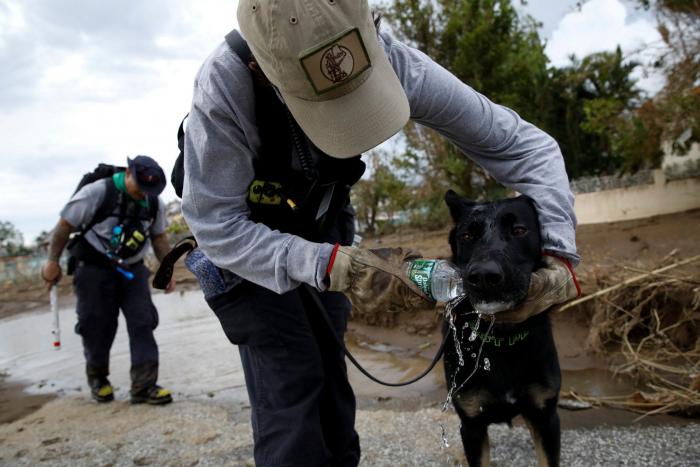 El Gobierno de Puerto Rico eleva hasta 2.975 la cifra de víctimas del huracán María