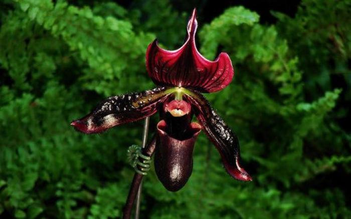 Ocho lugares declarados Patrimonio de la Humanidad en este 2015 (FOTOS)