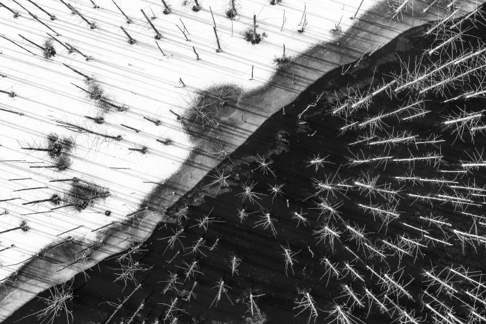 12 fotografías que muestran la naturaleza como pocas veces se ha visto