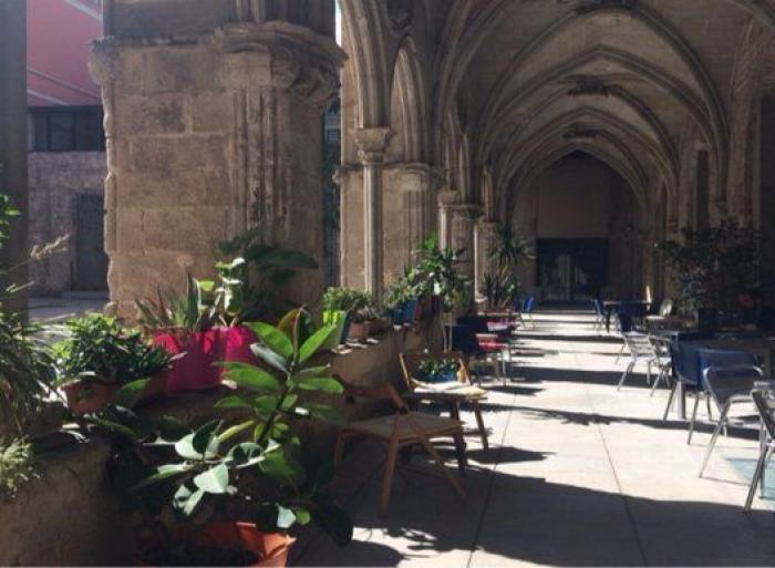 Museos, cafeterías y restaurantes que podrás visitar con tu perro (FOTOS)