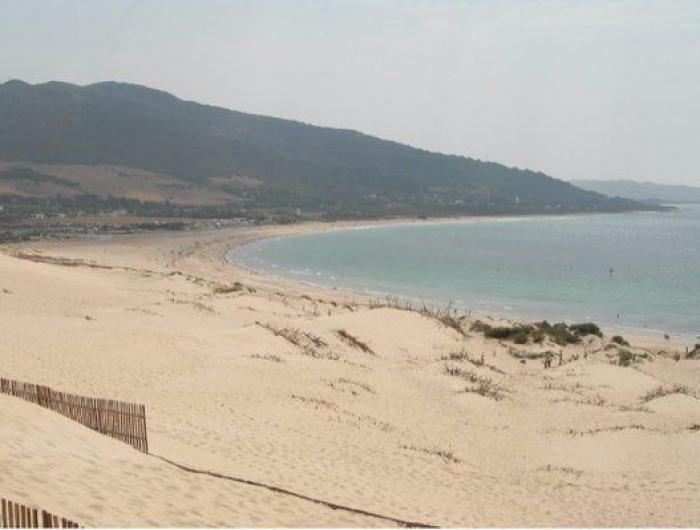 Museos, cafeterías y restaurantes que podrás visitar con tu perro (FOTOS)