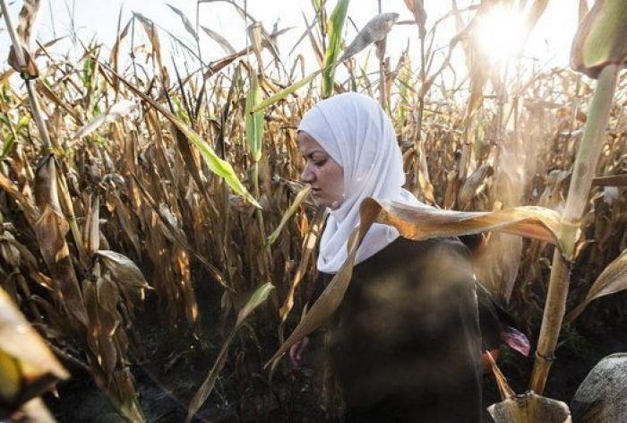 El refugiado zancadilleado por una periodista, en Barcelona: "Os amo, gracias por todo"