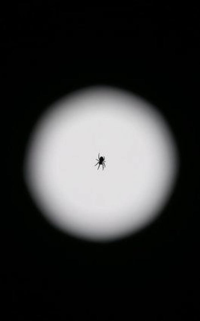 Las impresionantes imágenes de la 'superluna' de finales de agosto