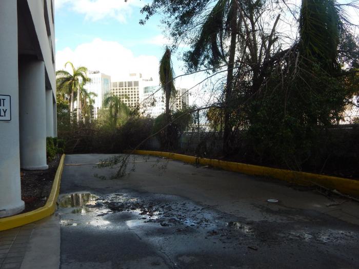 Irma se debilita a depresión tropical en su avance por el sureste de EEUU