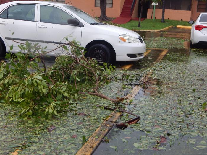 Irma se debilita a depresión tropical en su avance por el sureste de EEUU