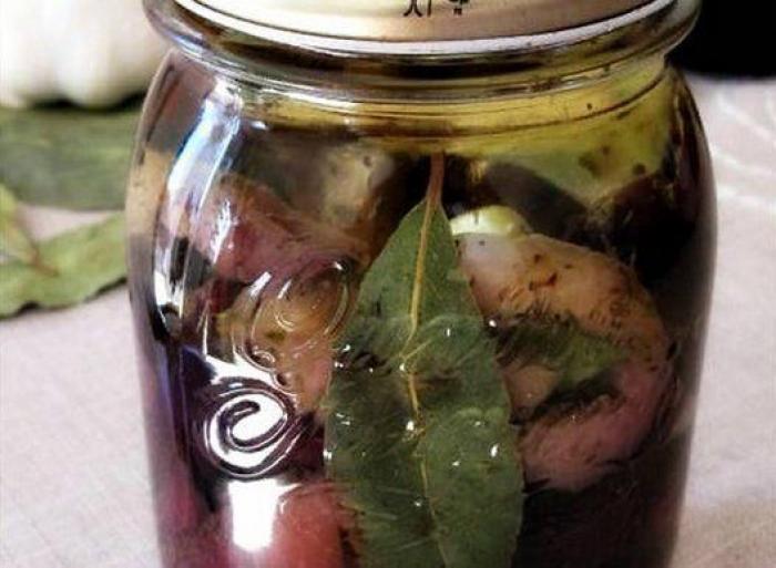 En conserva, rellenas, fritas... 26 ideas para cocinar berenjenas (FOTOS)