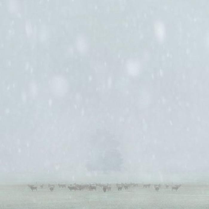 Las imágenes ganadoras del Premio al mejor fotógrafo de paisajes te dejarán boquiabierto (FOTOS)