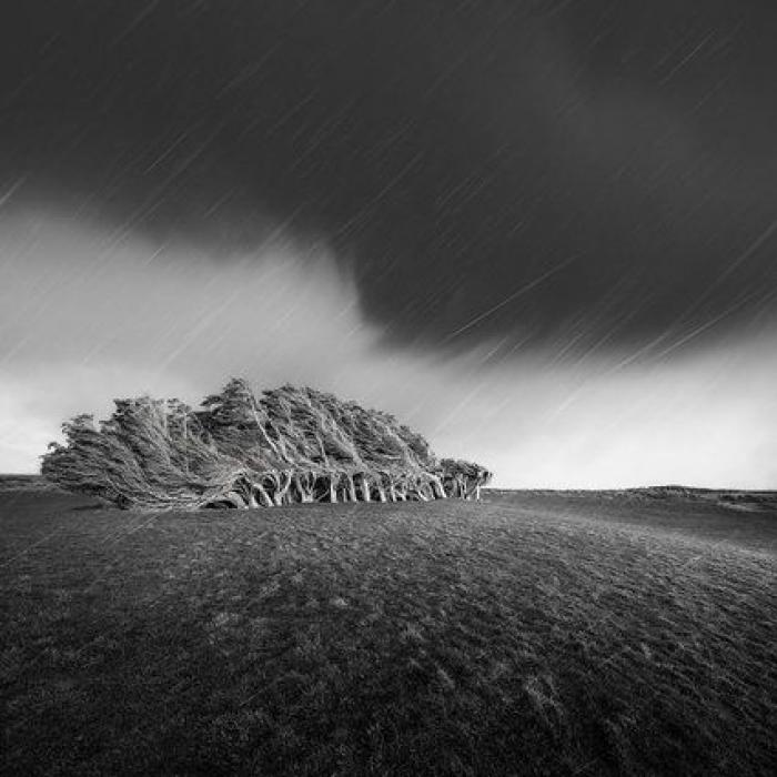 Las imágenes ganadoras del Premio al mejor fotógrafo de paisajes te dejarán boquiabierto (FOTOS)