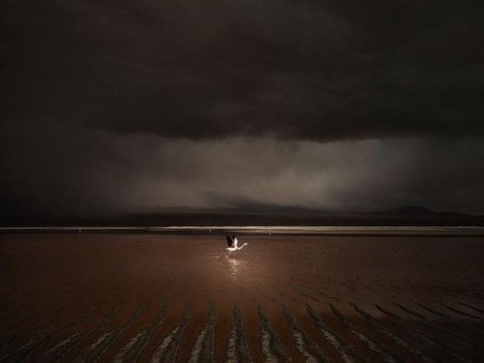 Las imágenes ganadoras del Premio al mejor fotógrafo de paisajes te dejarán boquiabierto (FOTOS)