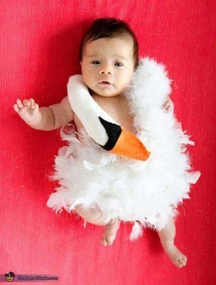 10 ideas fáciles para hacerle un disfraz de Halloween a tu hijo de miedo