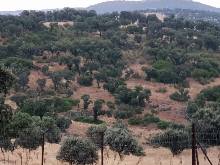 La Nava del Barranco: 24 horas en el refugio natural del lujo