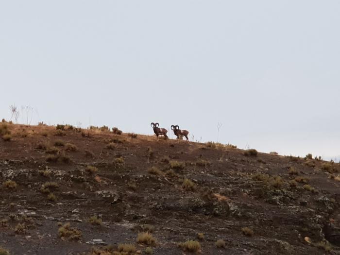 La Nava del Barranco: 24 horas en el refugio natural del lujo