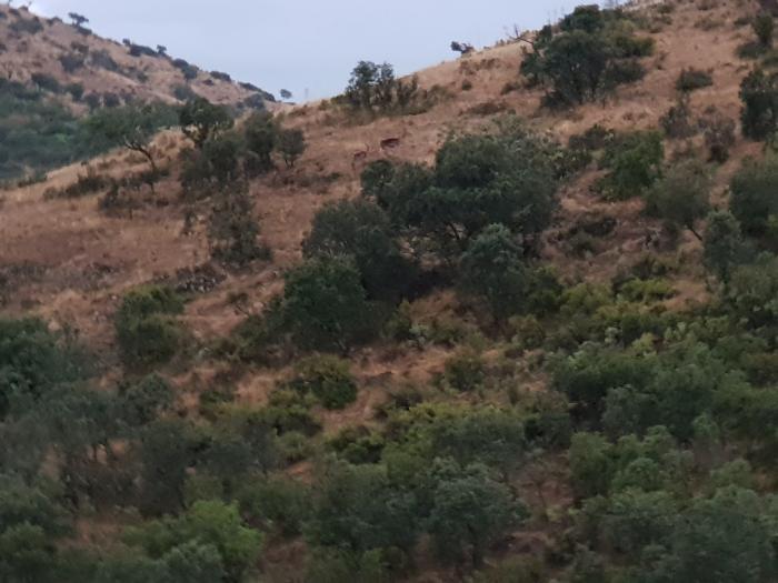 La Nava del Barranco: 24 horas en el refugio natural del lujo