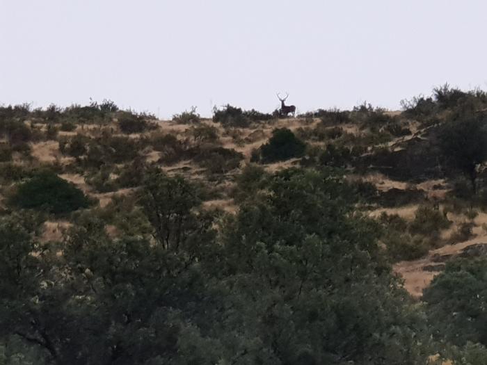 La Nava del Barranco: 24 horas en el refugio natural del lujo