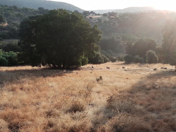 La Nava del Barranco: 24 horas en el refugio natural del lujo