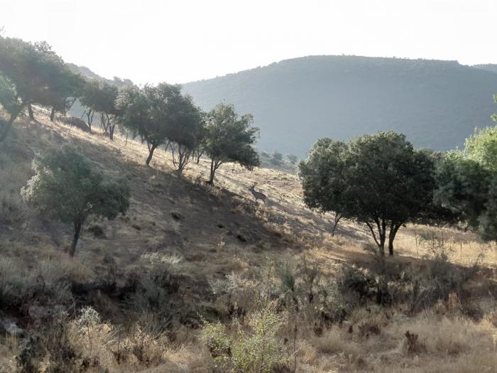 La Nava del Barranco: 24 horas en el refugio natural del lujo