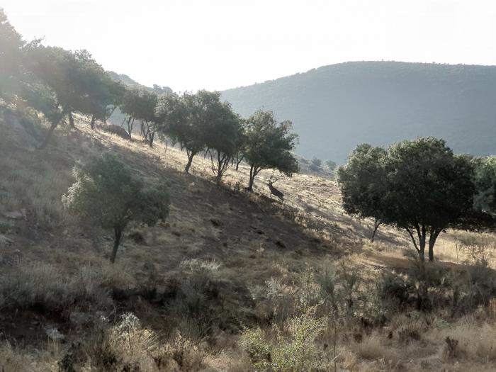 La Nava del Barranco: 24 horas en el refugio natural del lujo