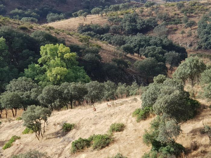 La Nava del Barranco: 24 horas en el refugio natural del lujo