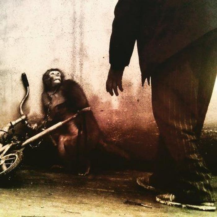 El World Press Photo llega a España