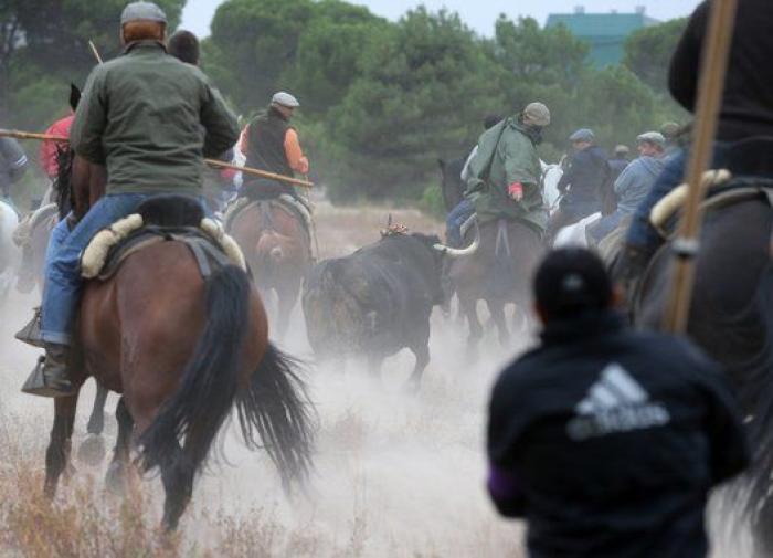 Lo que Esperanza Aguirre opina de Mariló Montero (VÍDEO)