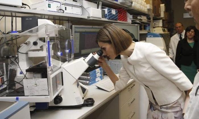 Michelle Obama se lleva a la reina Letizia al huerto (ecológico)