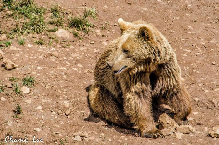 Seis motivos por los que el norte está triunfando este verano