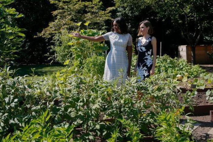 Michelle Obama se lleva a la reina Letizia al huerto (ecológico)