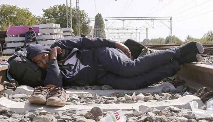 Los refugiados, más de 21.000 en tres días, llegan a Croacia a través de campos de maíz