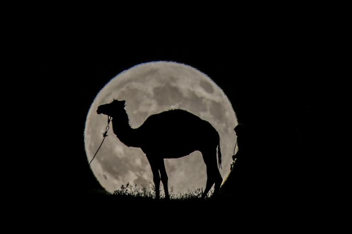 Cómo un eclipse solar (de hace 98 años) demostró que Einstein tenía razón