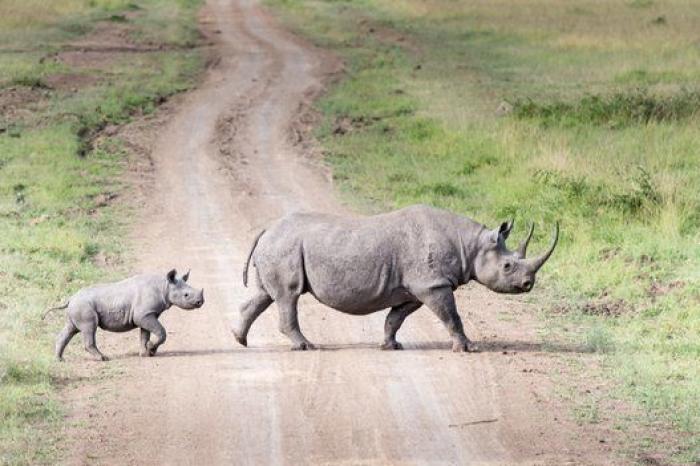 Las 12 fronteras naturales más impresionantes del mundo