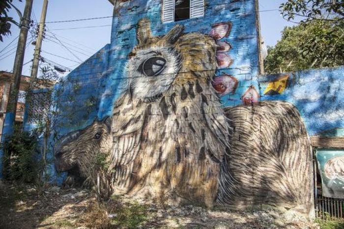 Los mejores grafitis de Brasil se concentran en Grajaú, un barrio de São Paulo