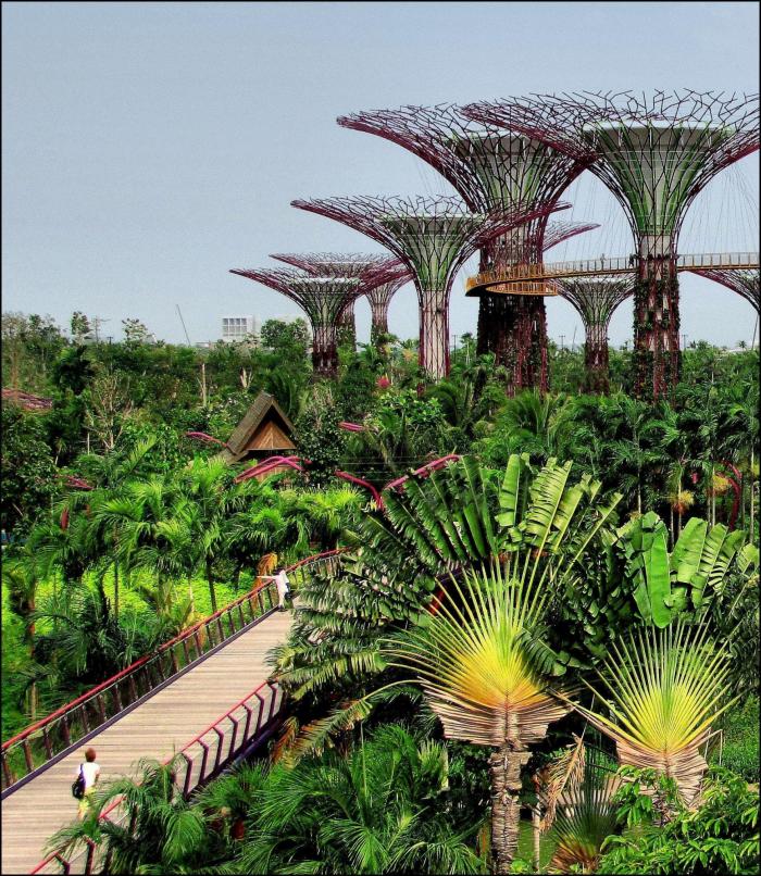 Seis motivos para enamorarte de Singapur