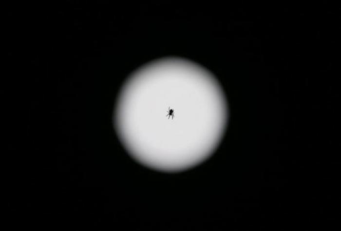 Dos en uno: eclipse y superluna en la noche del domingo al lunes