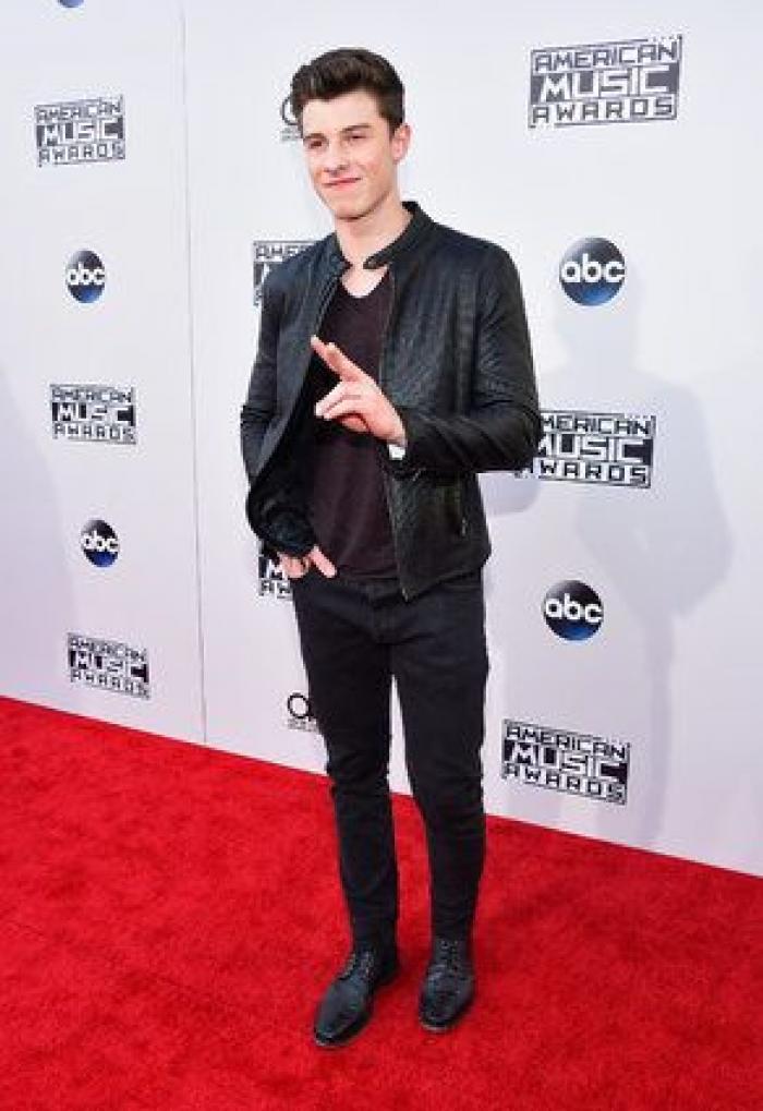 El homenaje de Celine Dion a las víctimas de los atentados de París en los American Music Awards