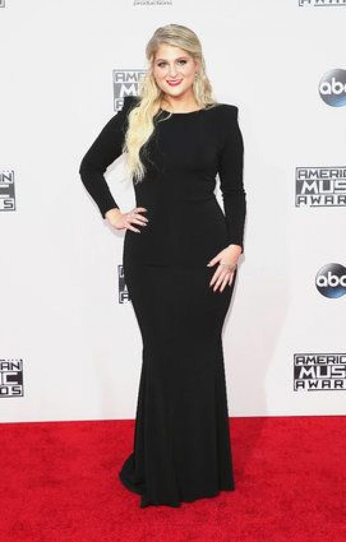 El homenaje de Celine Dion a las víctimas de los atentados de París en los American Music Awards